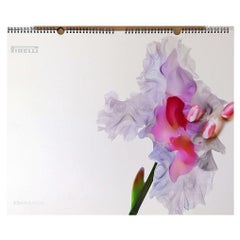 Calendrier Pirelli 2004 photographié par Nick Knight à Londres