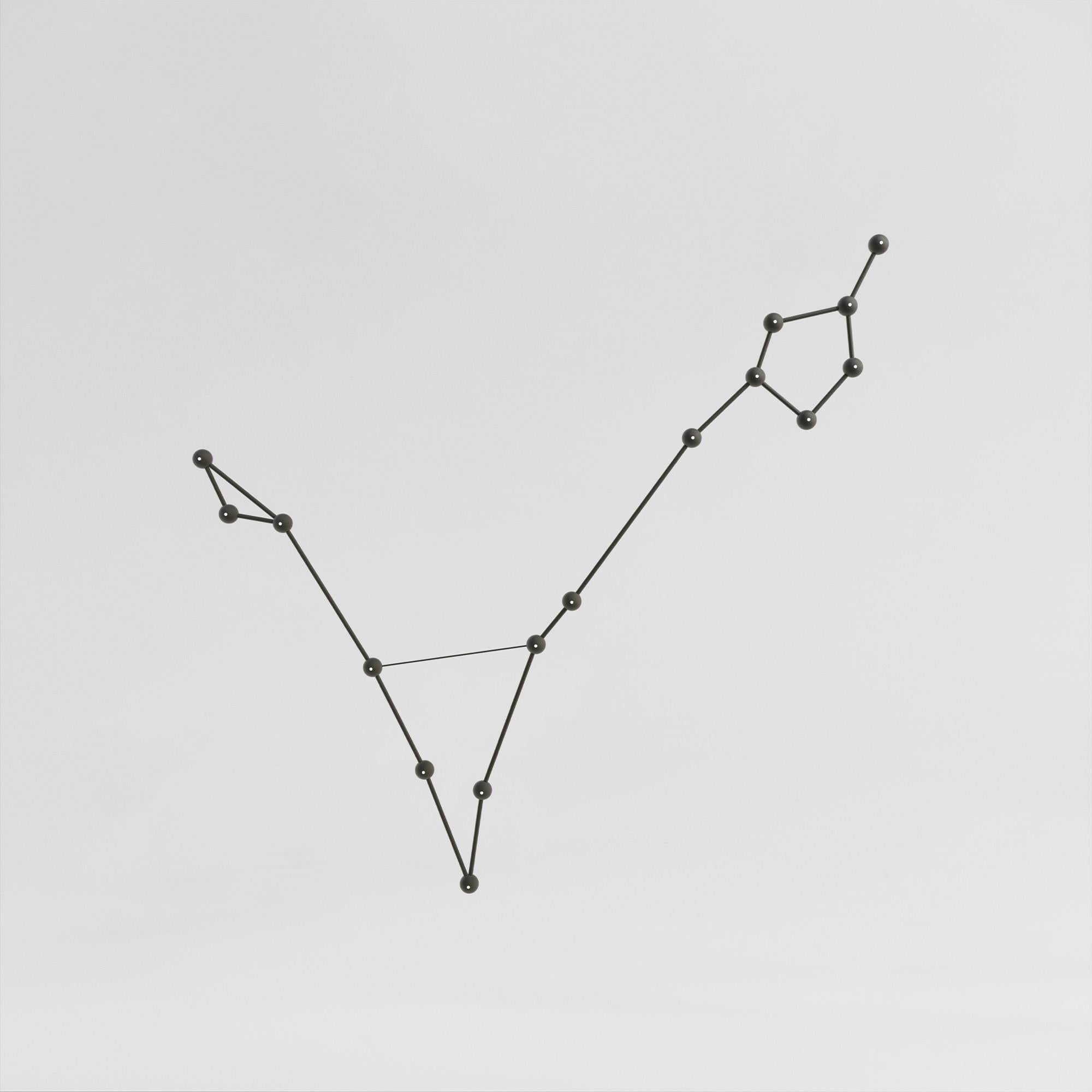Pisces Pendant Constellation For Sale 1