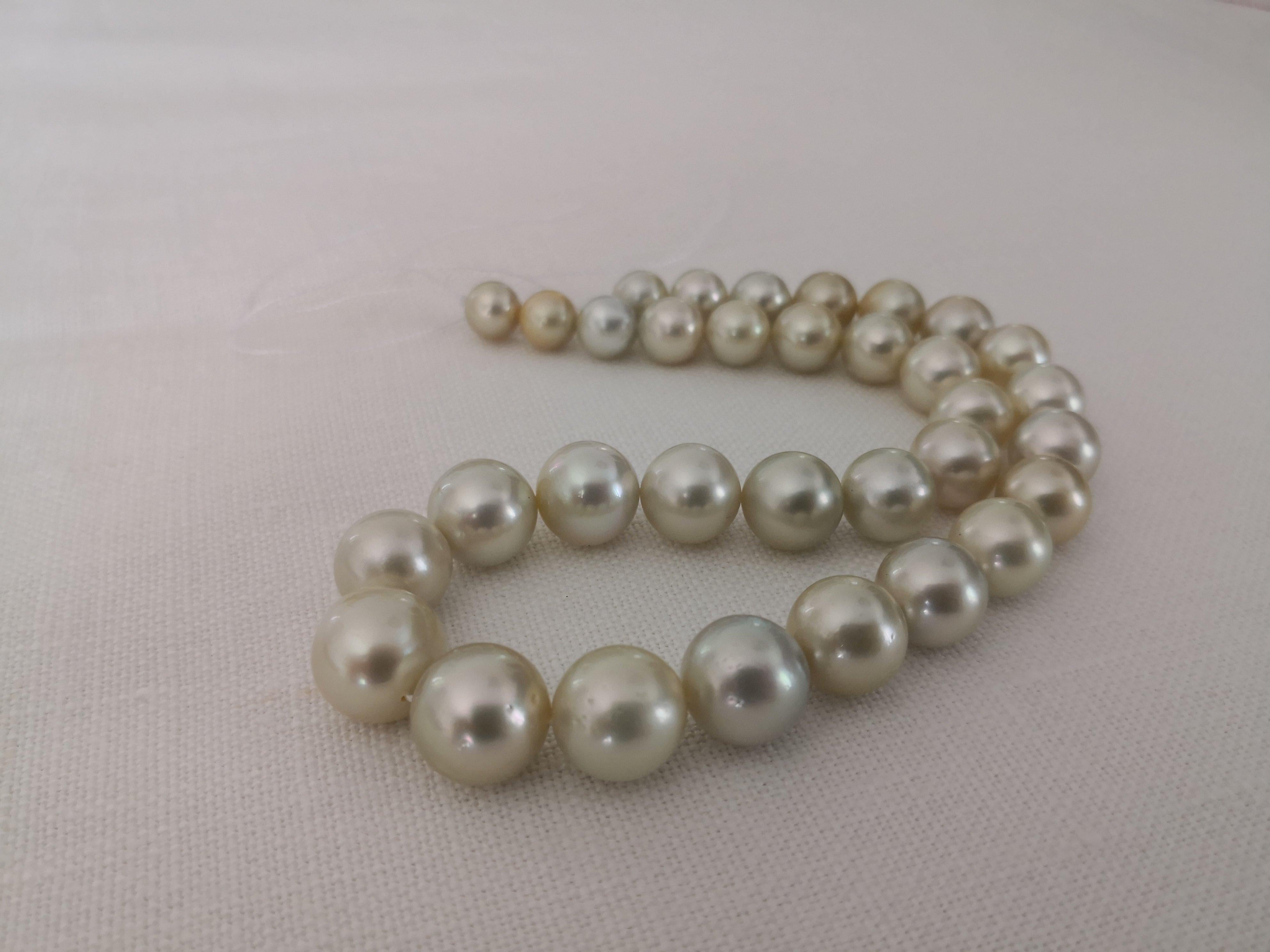 Beautiful Natural Color South Sea Pearls from Indonesia ocean waters.

- Size of Pearls 9-14 mm of diameter

- Pearls from Pinctada Maxima Oyster

- Origin: Indonesia ocean waters

- Natural Golden-Pistacho Color and overtones

- High natural luster