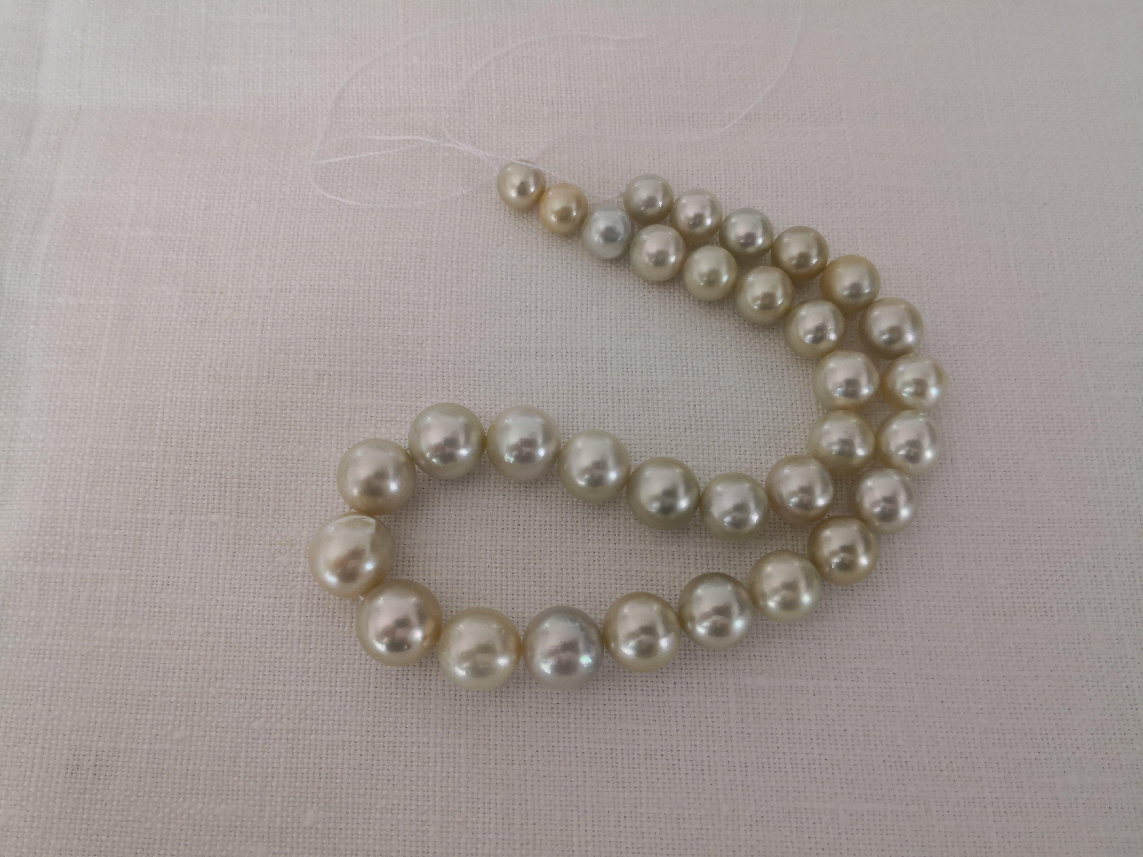 Contemporary Pistacho Golden Natural Color and High Luster South Sea Pearl Strand Choker For Sale