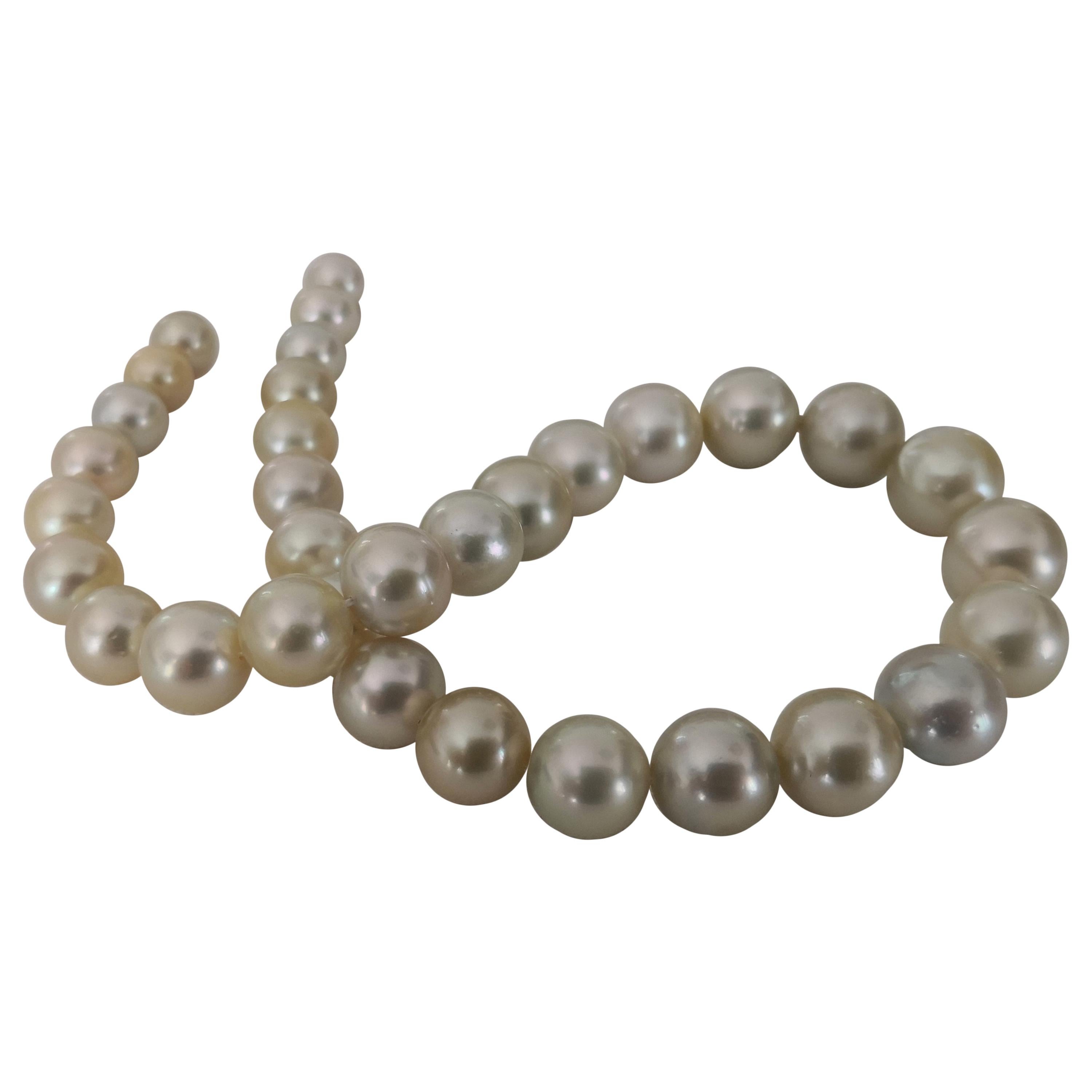 Pistacho Golden Natural Color and High Luster South Sea Pearl Strand Choker For Sale