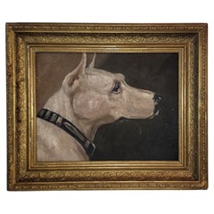 Pit-bull Terrier Oil Painting