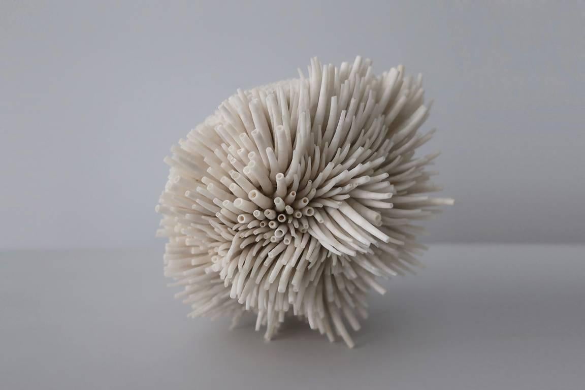 Free-standing sculpture hand-made using Dentalium seashells by English artist Rowan Mersh.