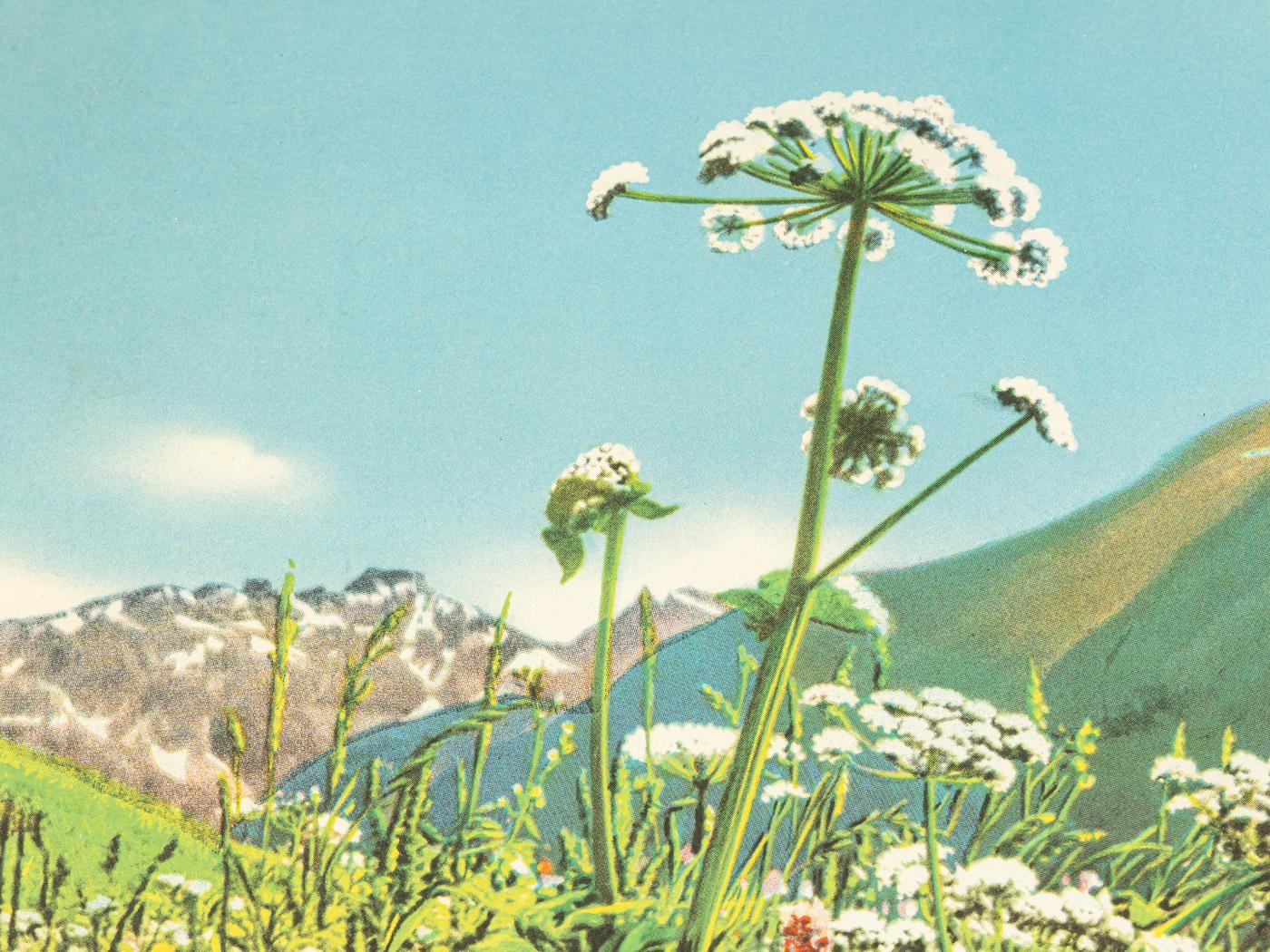Prächtiges Davos-Poster Emil Meerkmper 1935 Schweizer Alpen Babydeer-Blumen im Zustand „Gut“ im Angebot in Neuss, NW