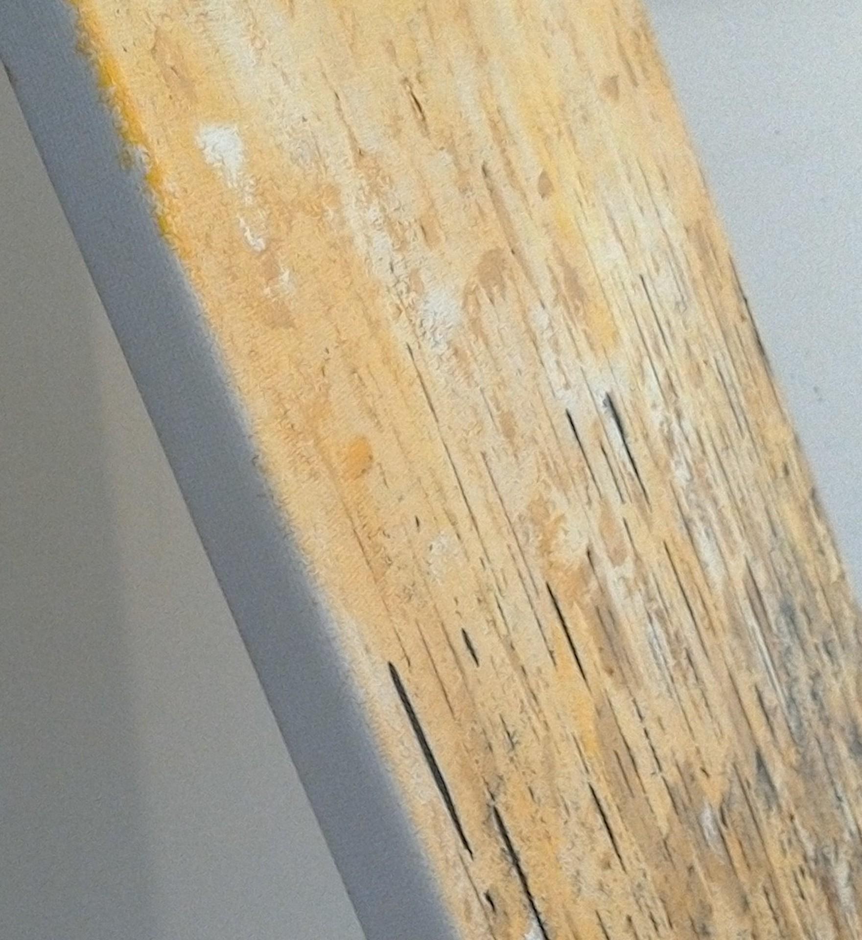 Pixie Willoughby, Golden Future, Art abordable, Peinture contemporaine en vente 2