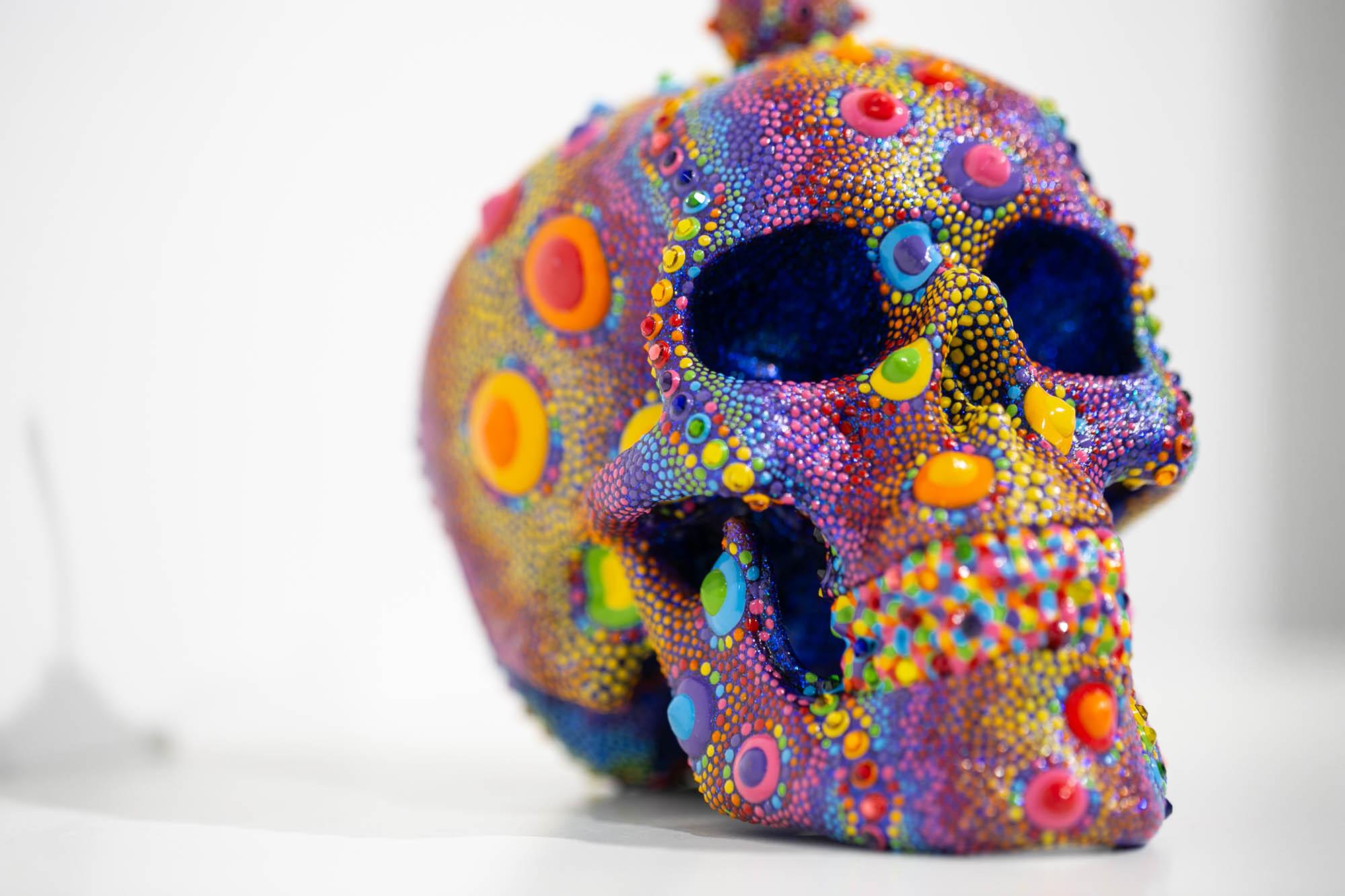 Candy Urchin Skull 2