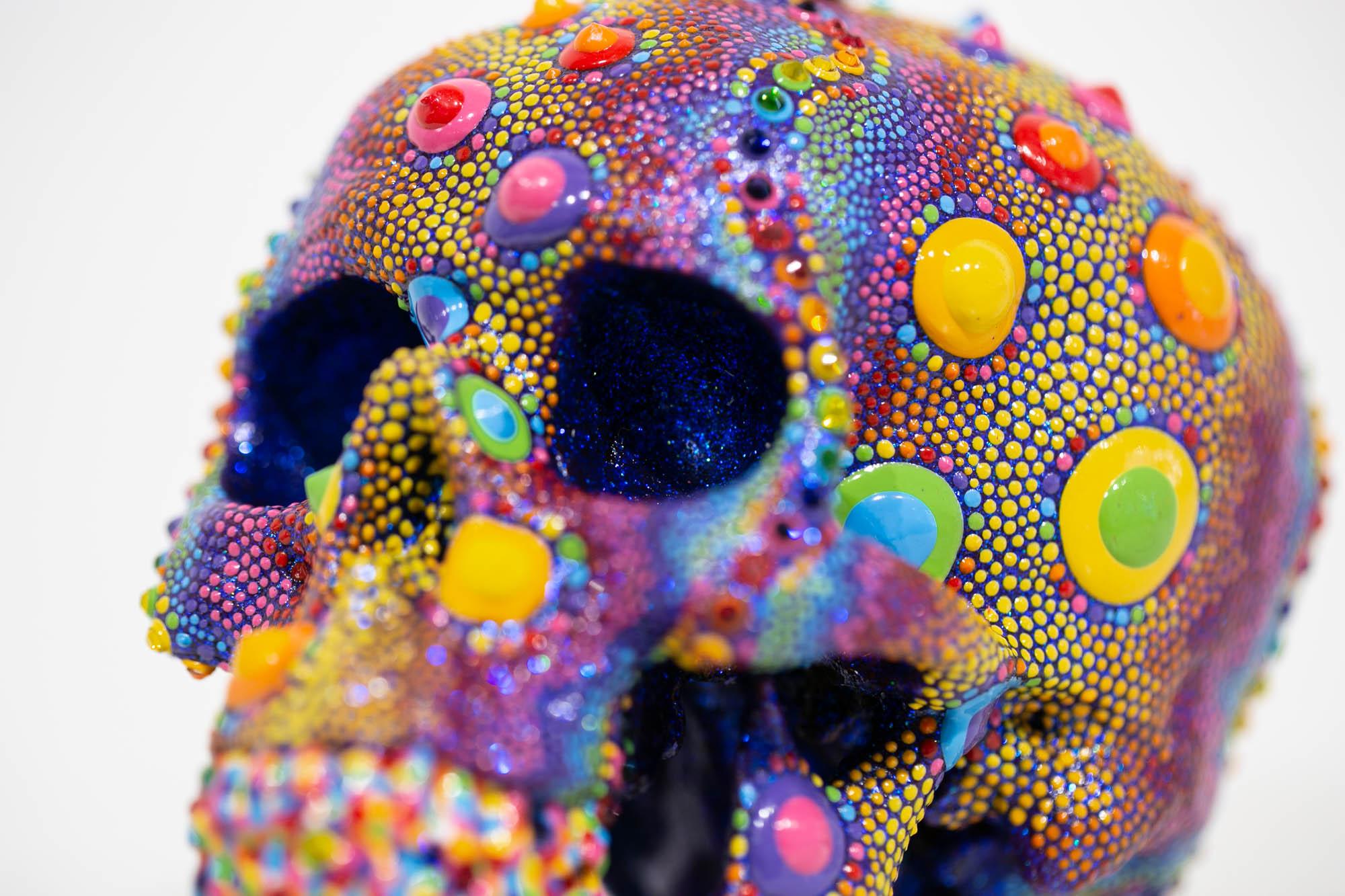Candy Urchin Skull 3