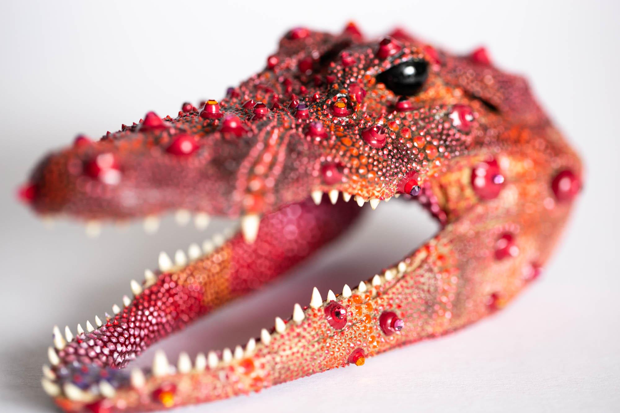 Pomegranate Gator 6