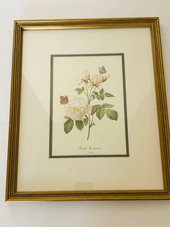 P.J.Redoute Chromolithograph of Roses in Gold Frame