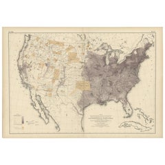 Antike Charte der amerikanischen Bevölkerung im Jahr 1870, veröffentlicht 1874