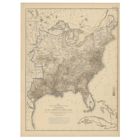 Pl. 22 Antique Chart of the US Colored Population Proportion in 1870, '1874'