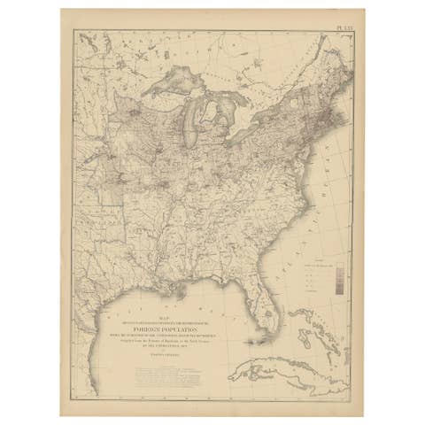 Pl. 25 Antique Chart of the US Foreign Population in 1870, '1874'