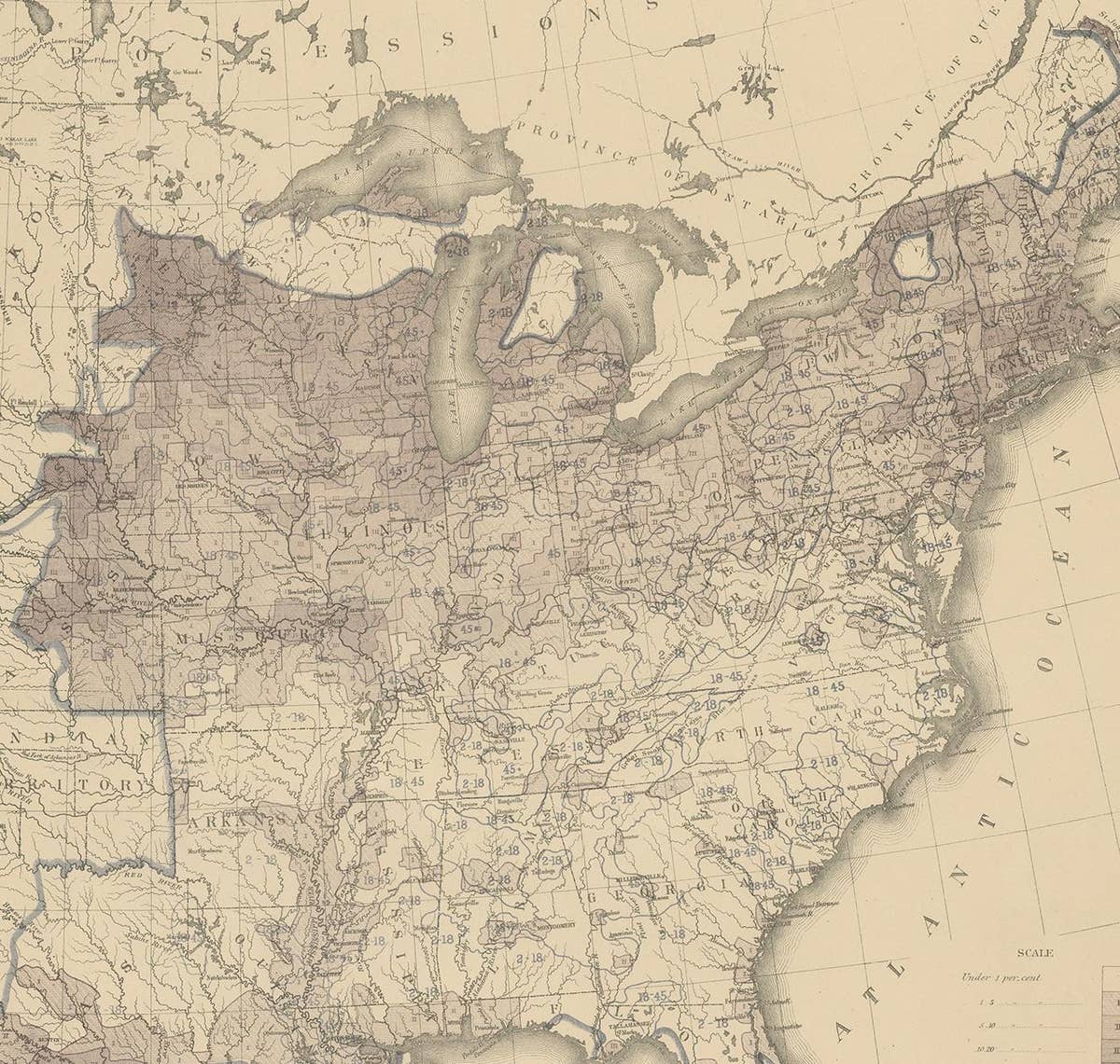 Pl. 26 Antique Chart of the US Foreign Population Proportion in 1870, '1874'