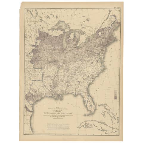 Pl. 26 Antique Chart of the US Foreign Population Proportion in 1870, '1874'