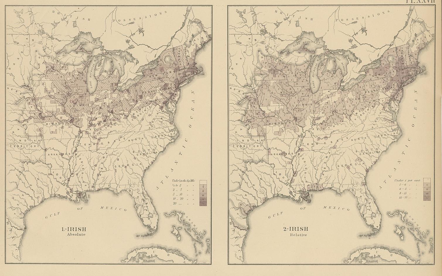 us irish population