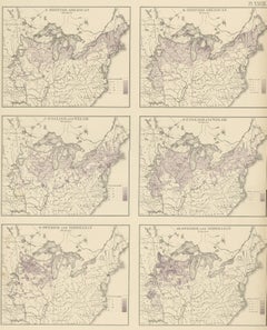 Pl. 28 Gráfico antiguo de la población británica americana, inglesa (..) estadounidense, 1874