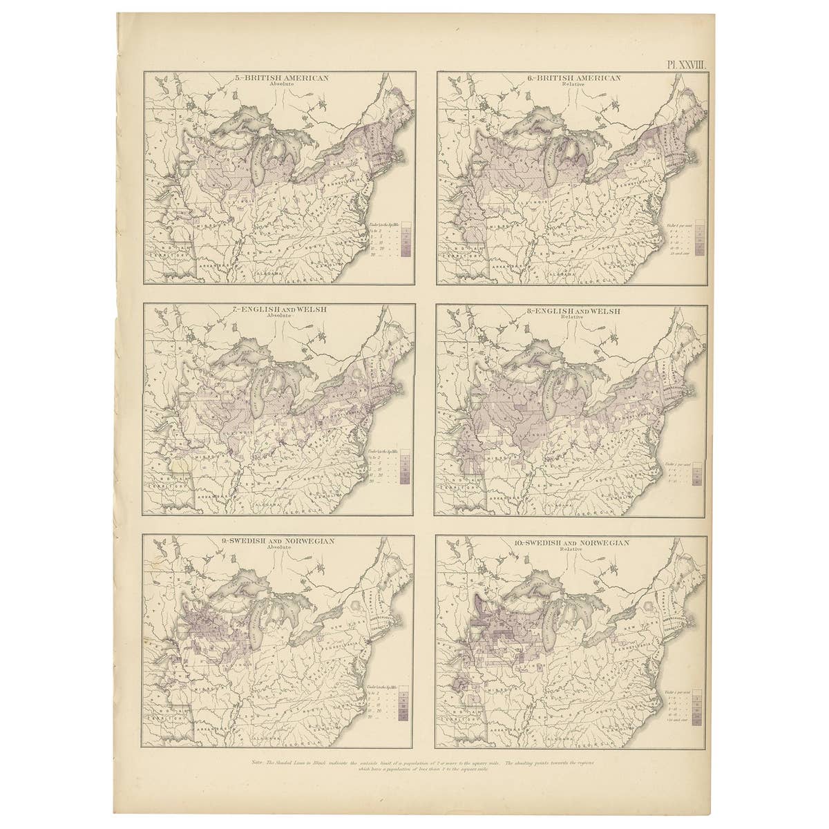Pl. 28 Antique Chart of British American, English (..) US Population, 1874
