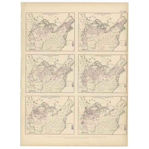 Pl. 28 Antique Chart of British American, English (..) US Population, 1874