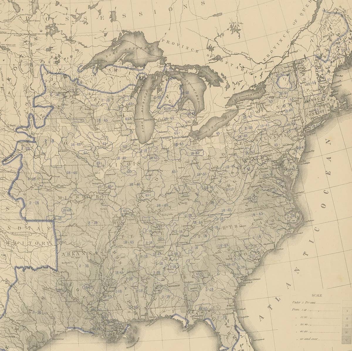 Pl. 29 Antique Chart of the US Illiteracy in 1870, '1874'