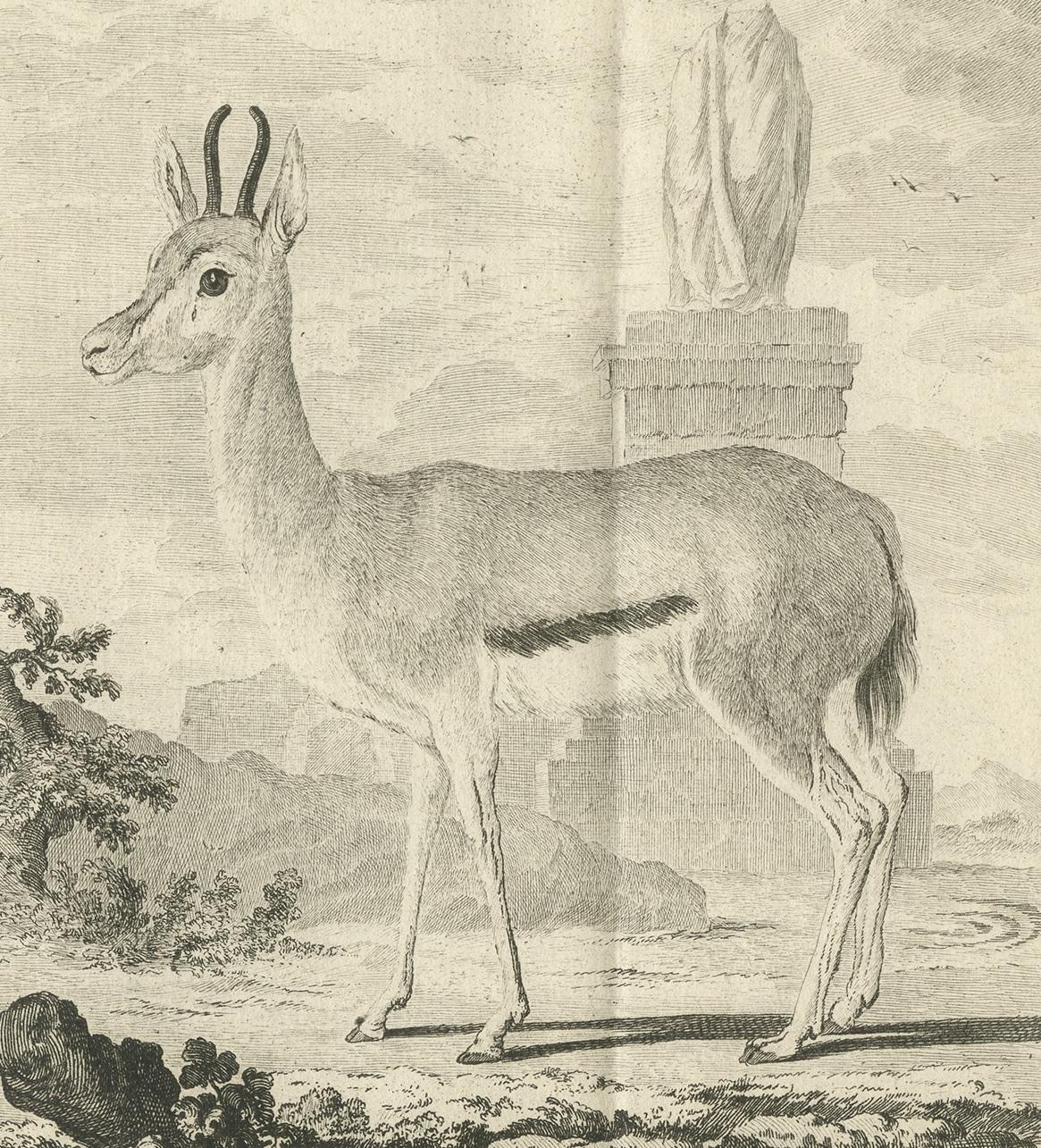 Pl. 29 Stampa antica di una specie di antilope di Buffon, 1769 In condizioni buone in vendita a Langweer, NL
