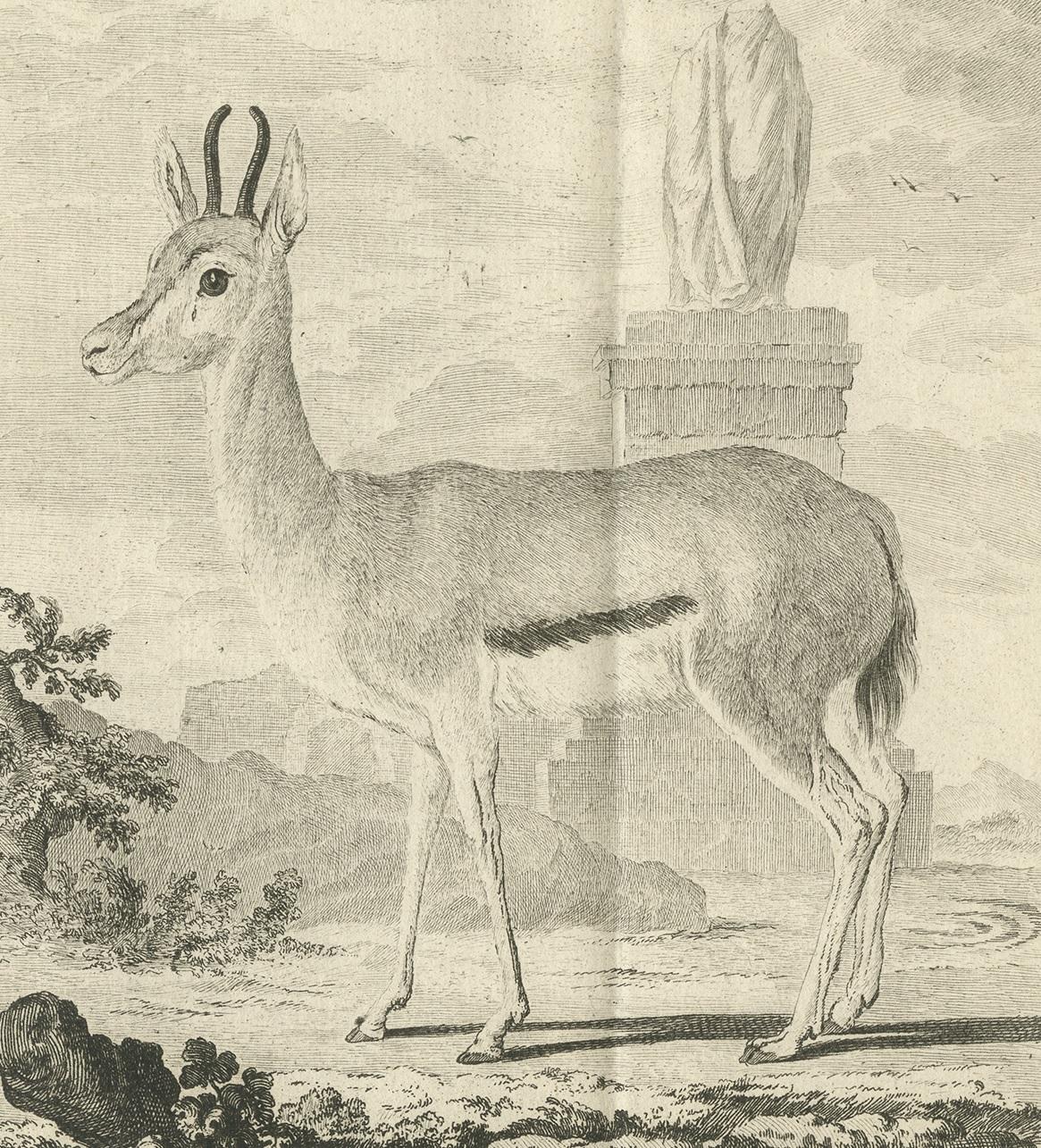 Pl. 29 Antique Print of an Antelope Species by Buffon, 1769 In Good Condition For Sale In Langweer, NL