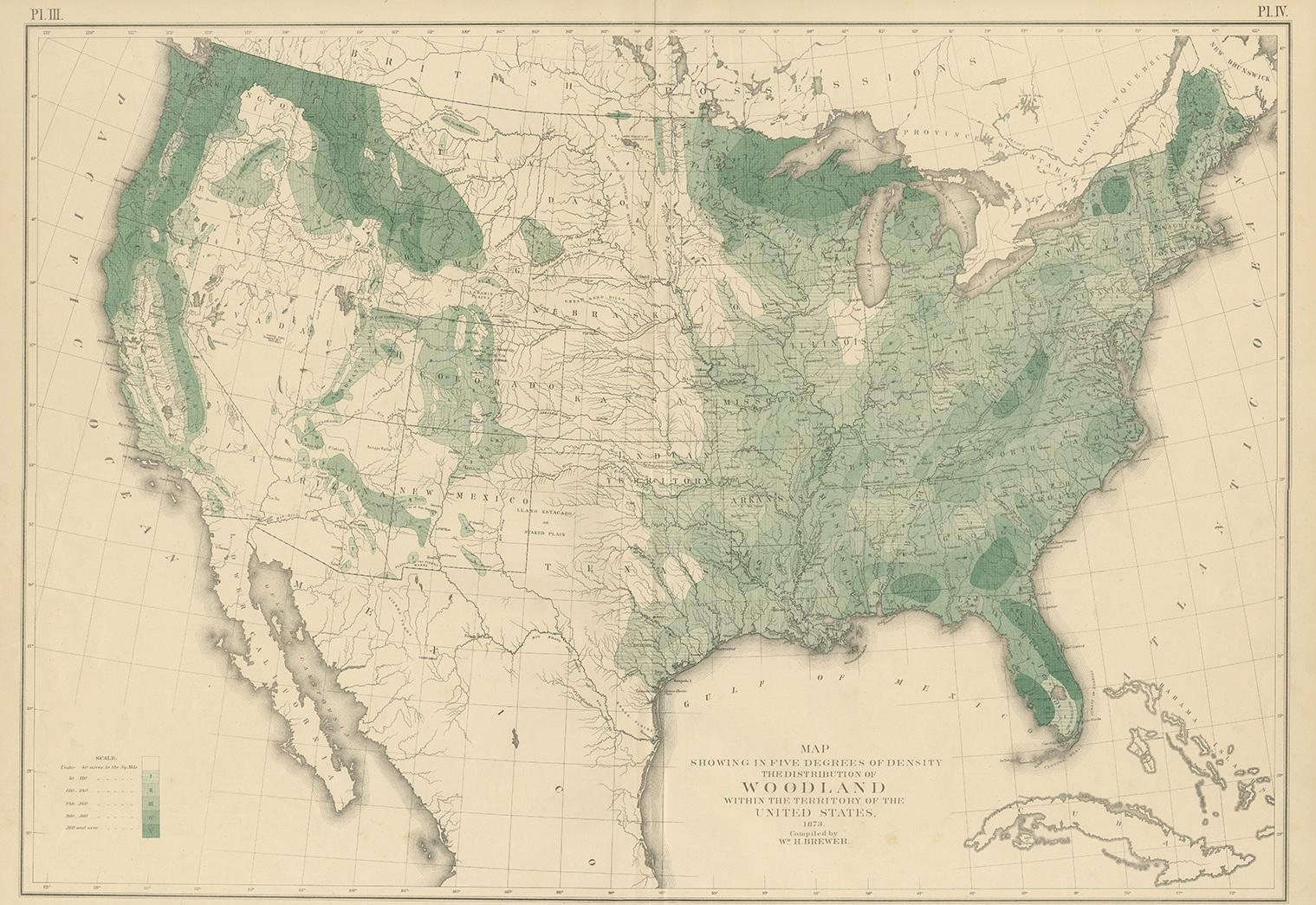 Antique map titled 'Map showing in five degrees of density the distribution of woodland within the territory of the United States, 1873. Compiled by Wm. H. Brewer'. Antique map of the woodland of the United States. Originates from 'Statistical Atlas