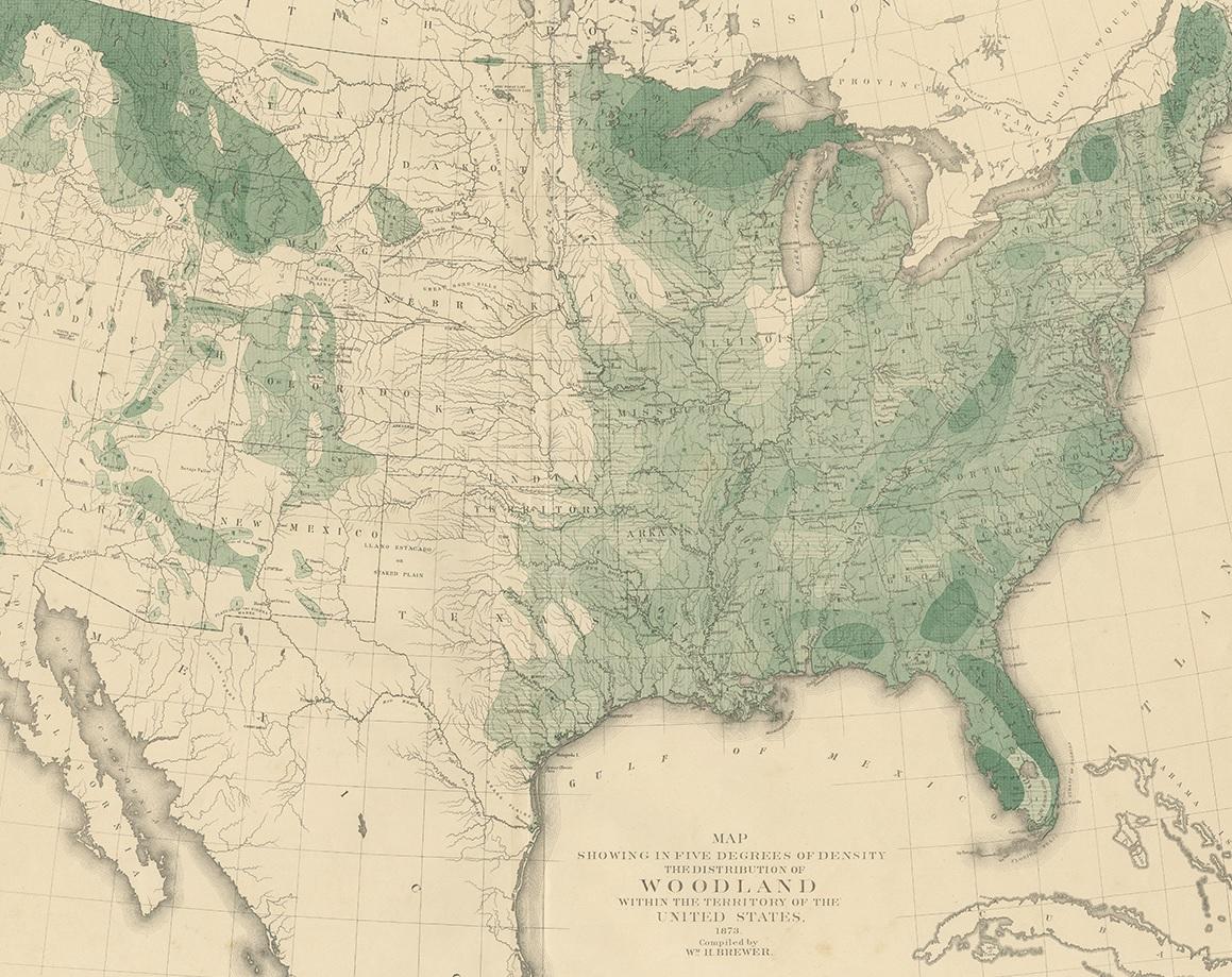 19th Century Antique Map of the Woodland of the United States, 1874