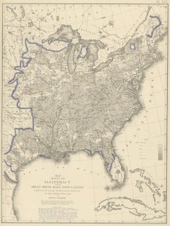 Tableau ancien de l'illumination masculine adulte des États-Unis en 1870, « 1874 »