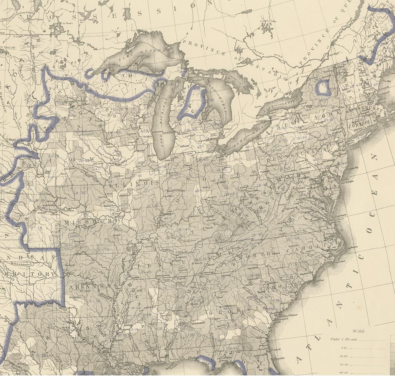 Grafico antico dell'analfabetismo maschile adulto negli Stati Uniti nel 1870, '1874'. In condizioni buone in vendita a Langweer, NL