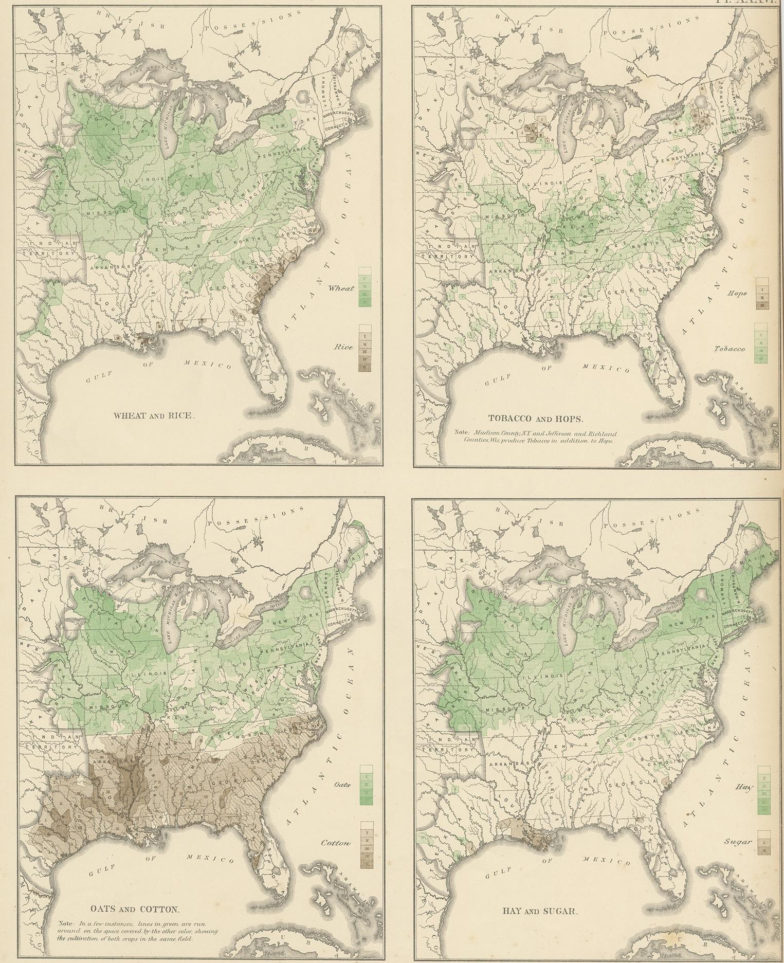Antique chart titled 'Maps showing the range, and within the range, the degree of cultivation of certain principal crops. Compiled from the statistics of agriculture, ninth census 1870'. Chart of the US crops, including four colored lithographed