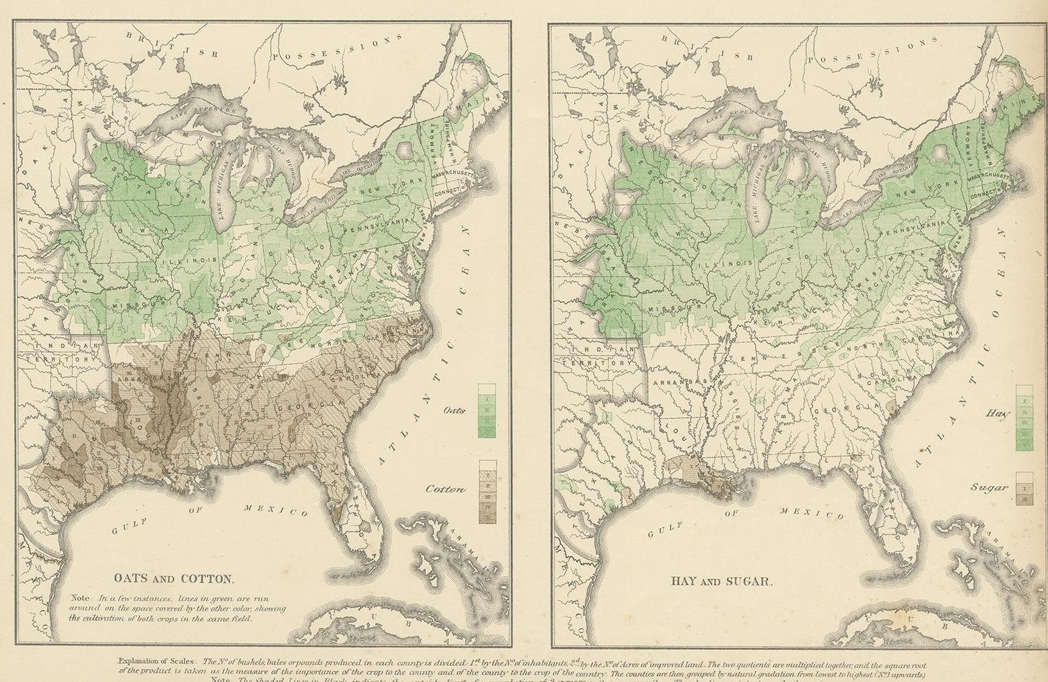 19th Century Pl. 36 Antique Chart of US Crops, Wheat, Rice, Tobacco, Hops, Oats '1874' For Sale