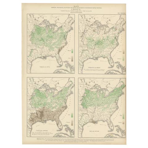 Antique US Crop Chart by Francis A. Walker, Lithographed Maps, 1874