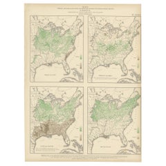 Pl. 36 Antique Chart of US Crops, Wheat, Rice, Tobacco, Hops, Oats '1874'