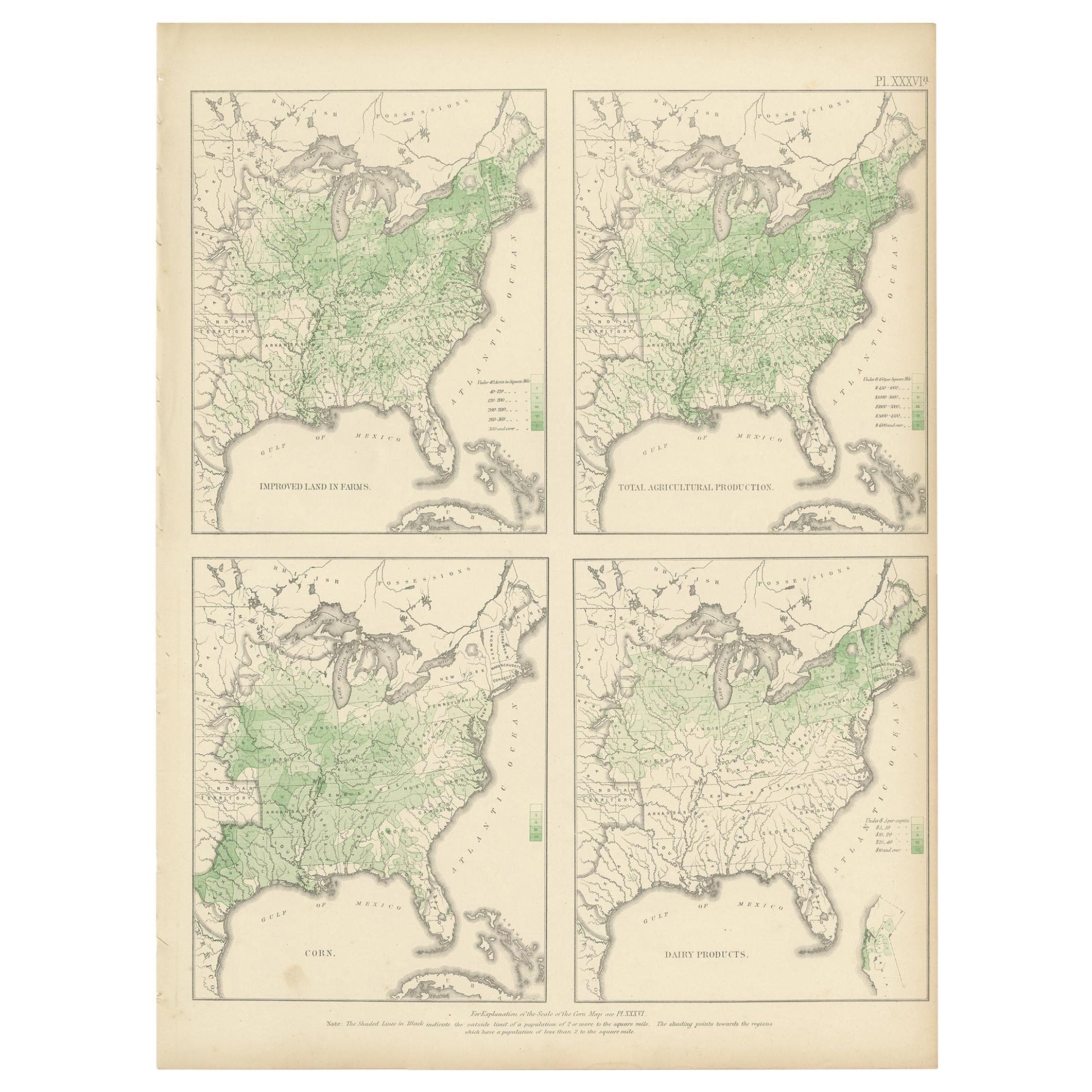 Pl. 36A Antique Chart of US Farms, Agriculture and Crops '1874' For Sale