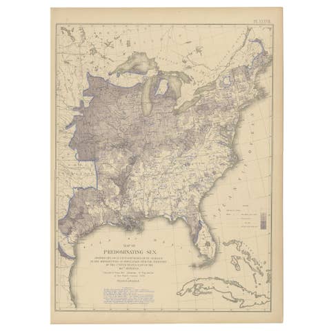 Antique Chart of the US Predominating Sex, 1874