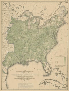 Tableau ancien Pl. 40 du taux de naissance des États-Unis, 1874