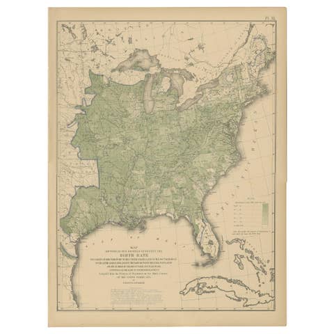 Pl. 40 Antique Chart of the US Birth Rate, 1874