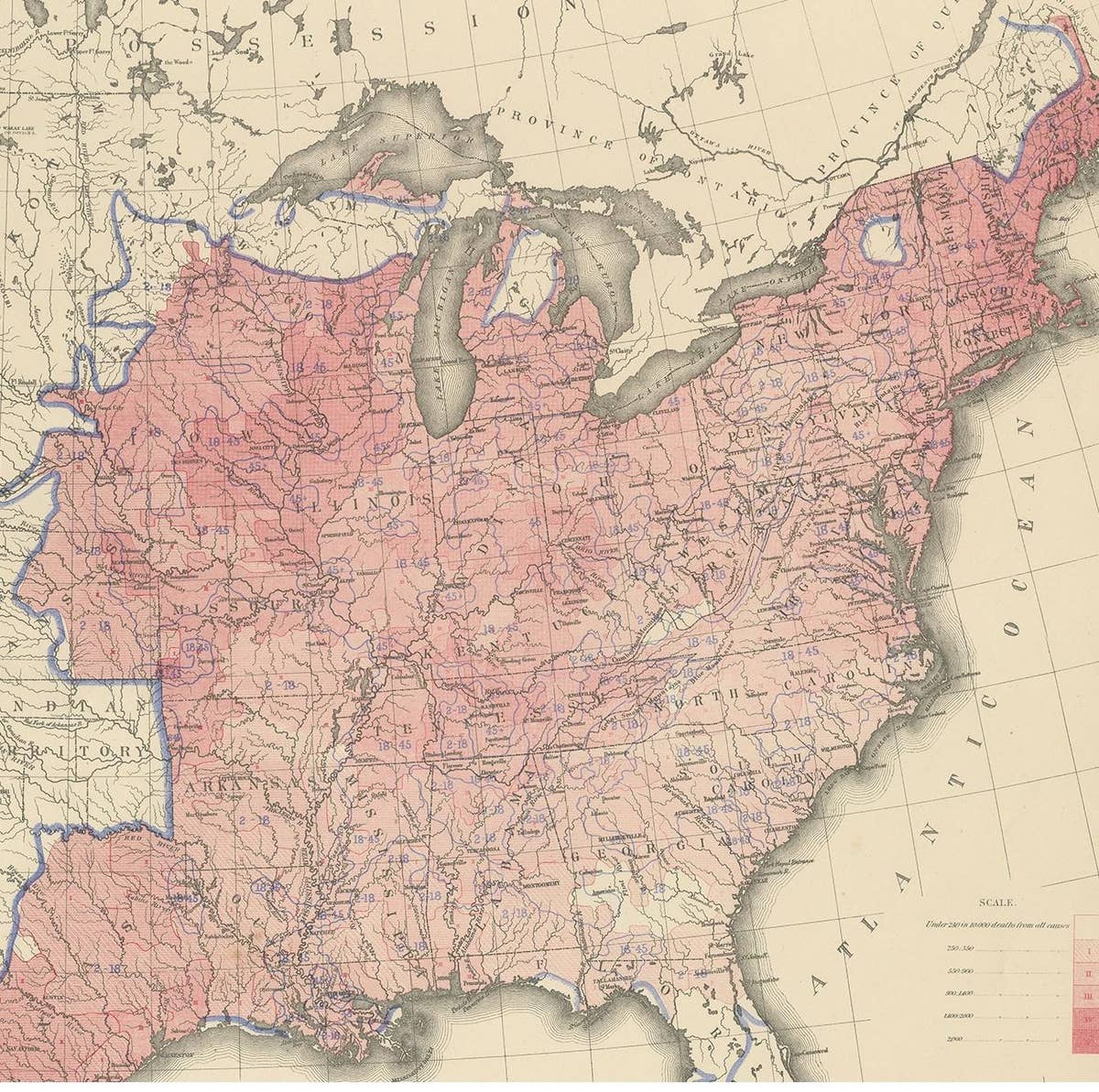 Antique Chart of the US Consumption Deaths, '1874'