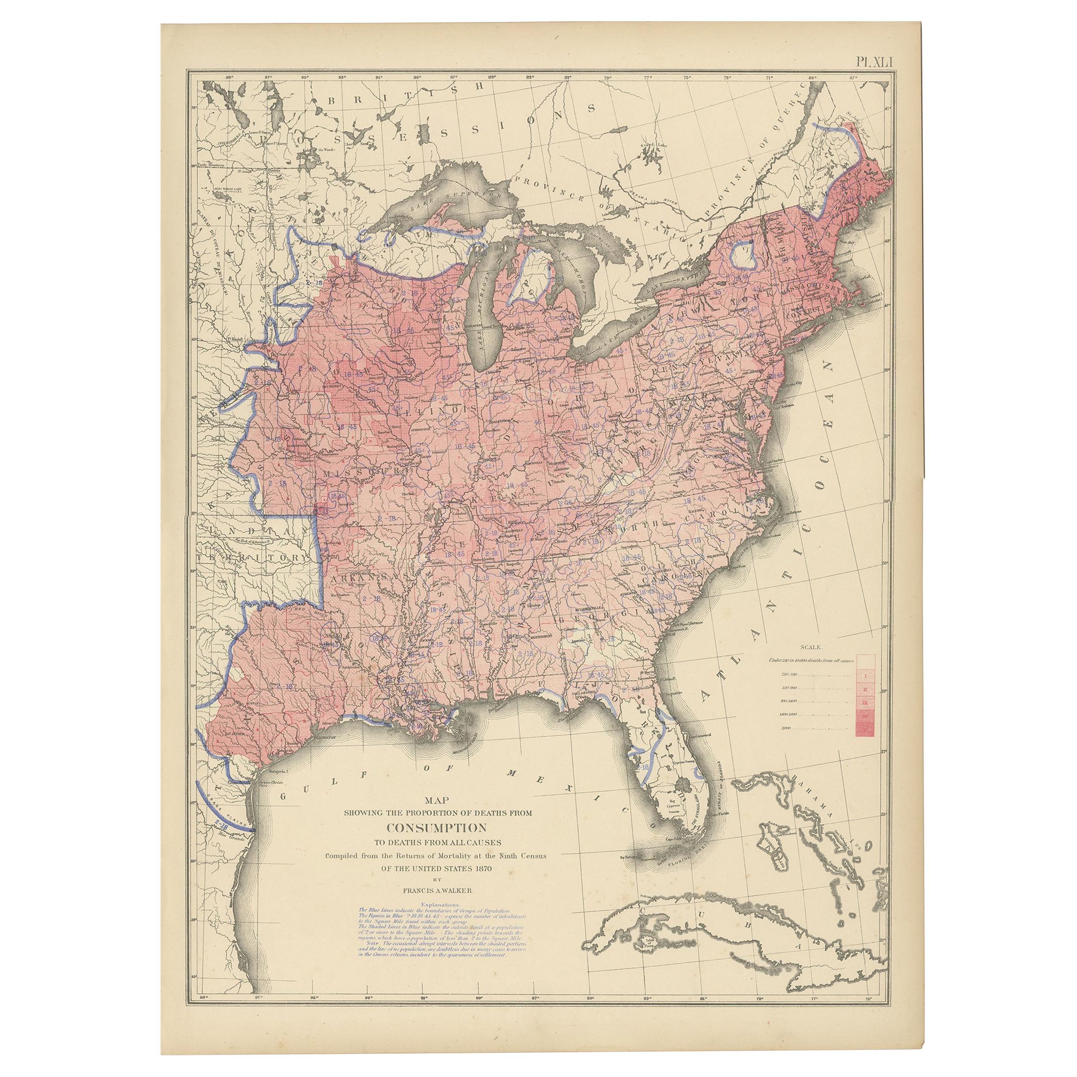 Carte ancienne des morts liées à la consommation aux États-Unis, « 1874 » en vente
