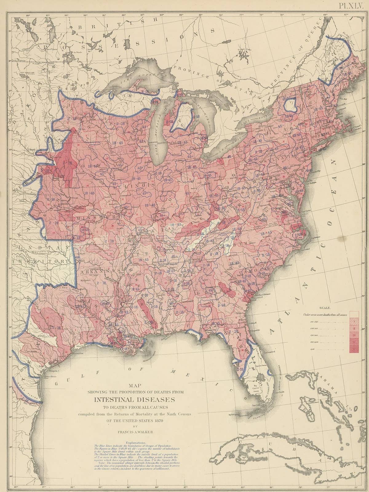 Pl. 45 Antique Chart of the US Inestinal Diseases Deaths, 1874