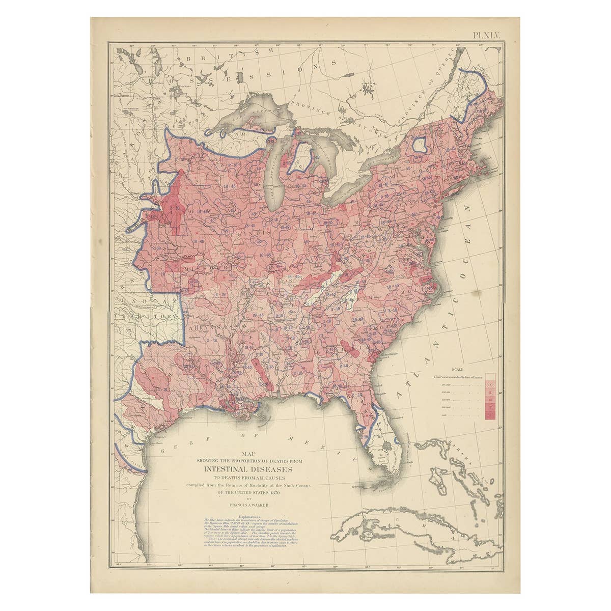 Pl. 45 Antique Chart of the US Inestinal Diseases Deaths, 1874