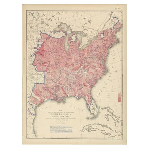 Pl. 45 Antique Chart of the US Inestinal Diseases Deaths, 1874