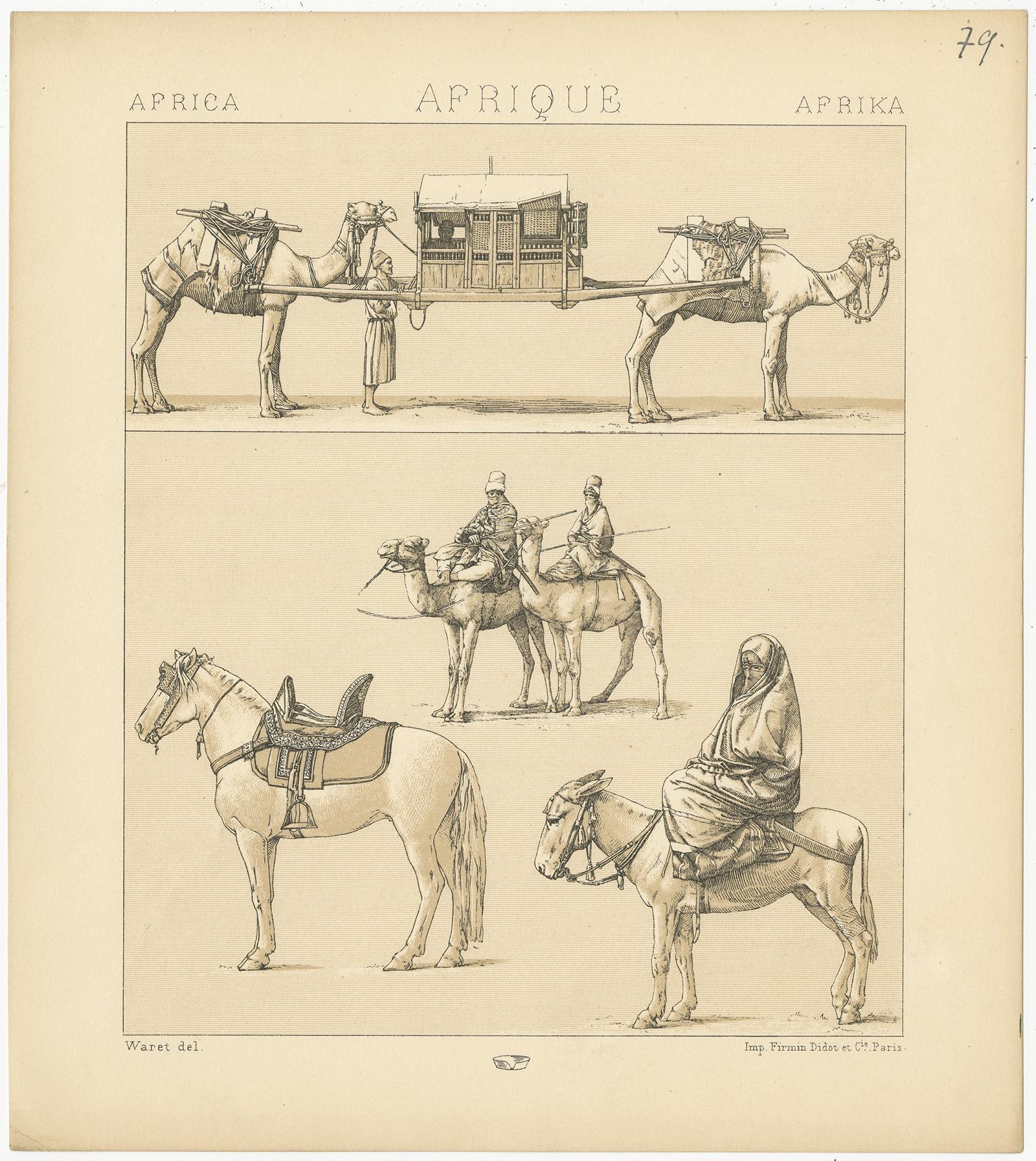 Antique print titled 'Africa - Afrique - Afrika'. Chromolithograph of African Working Animals. This print originates from 'Le Costume Historique' by M.A. Racinet. Published, circa 1880.