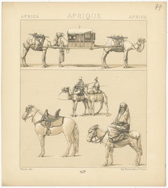 Gravure ancienne d'animaux de trait africains par Racinet, "circa 1880".