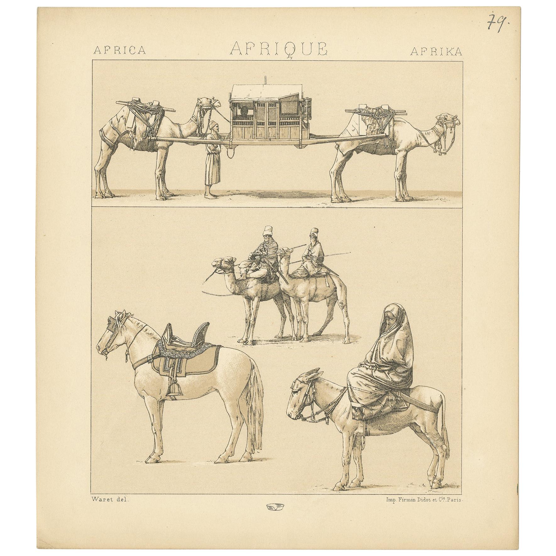 Antique Print of African Working Animals by Racinet, 'circa 1880' For Sale