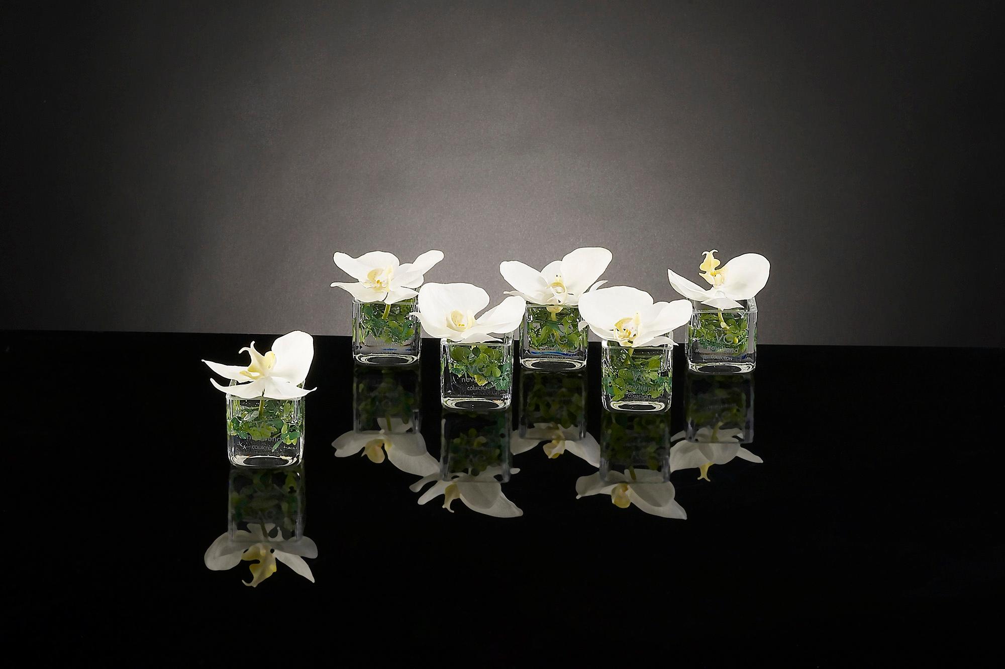 italien Ensemble de bougeoirs et cubes Phalenopsis, fleurs, Italie en vente