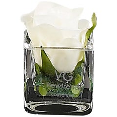 Placeholder Cube Rose Bud Set Arrangement, Flowers, Italy