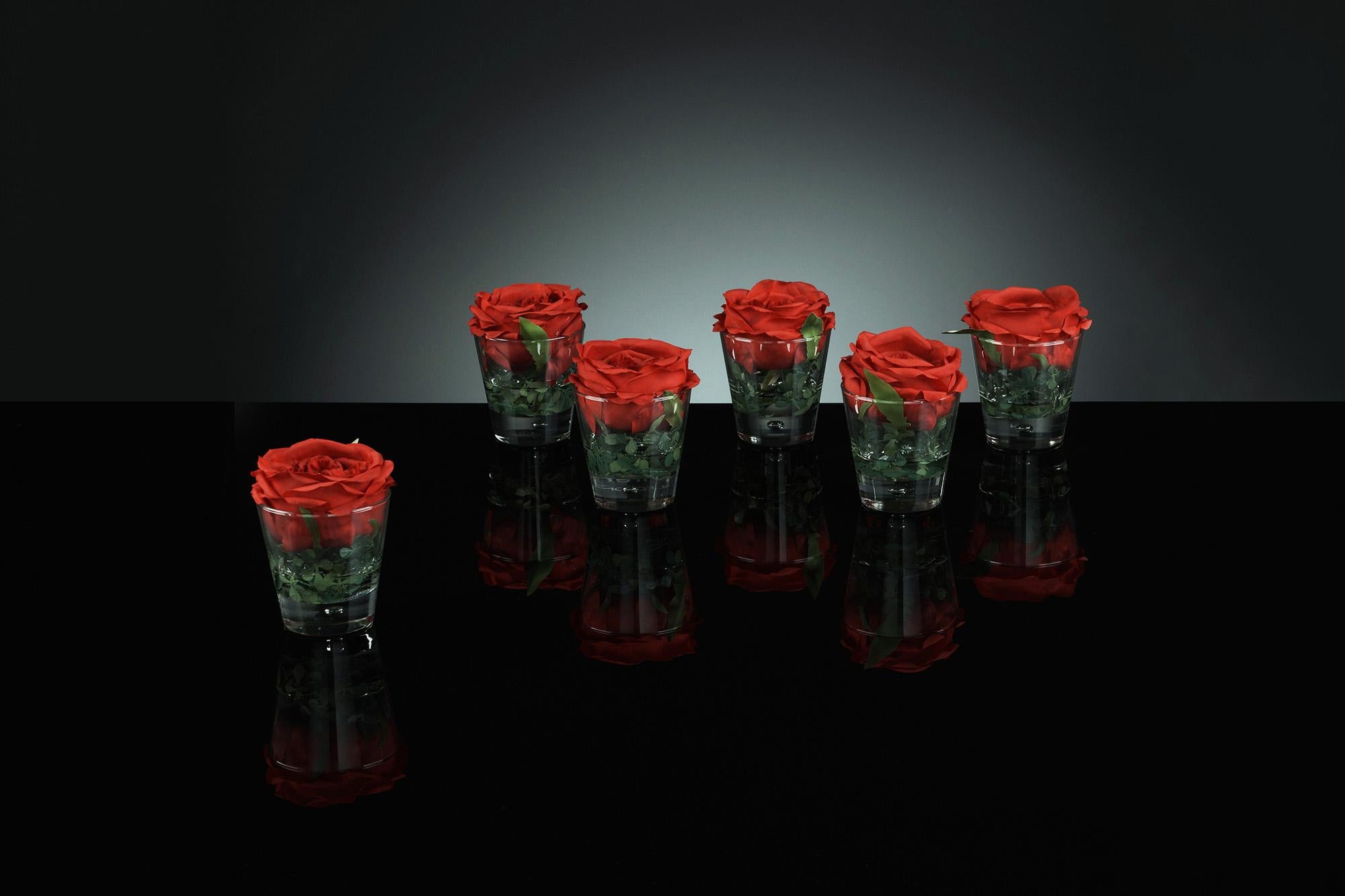Italian Placeholder Open Rose Boxwood Set Arrangement, Flowers, Italy For Sale