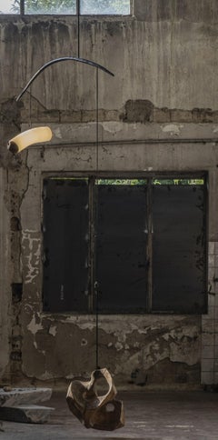 Unique Wood and Glass Nature Form Contemporary Art Lighting by Jérôme Pereira