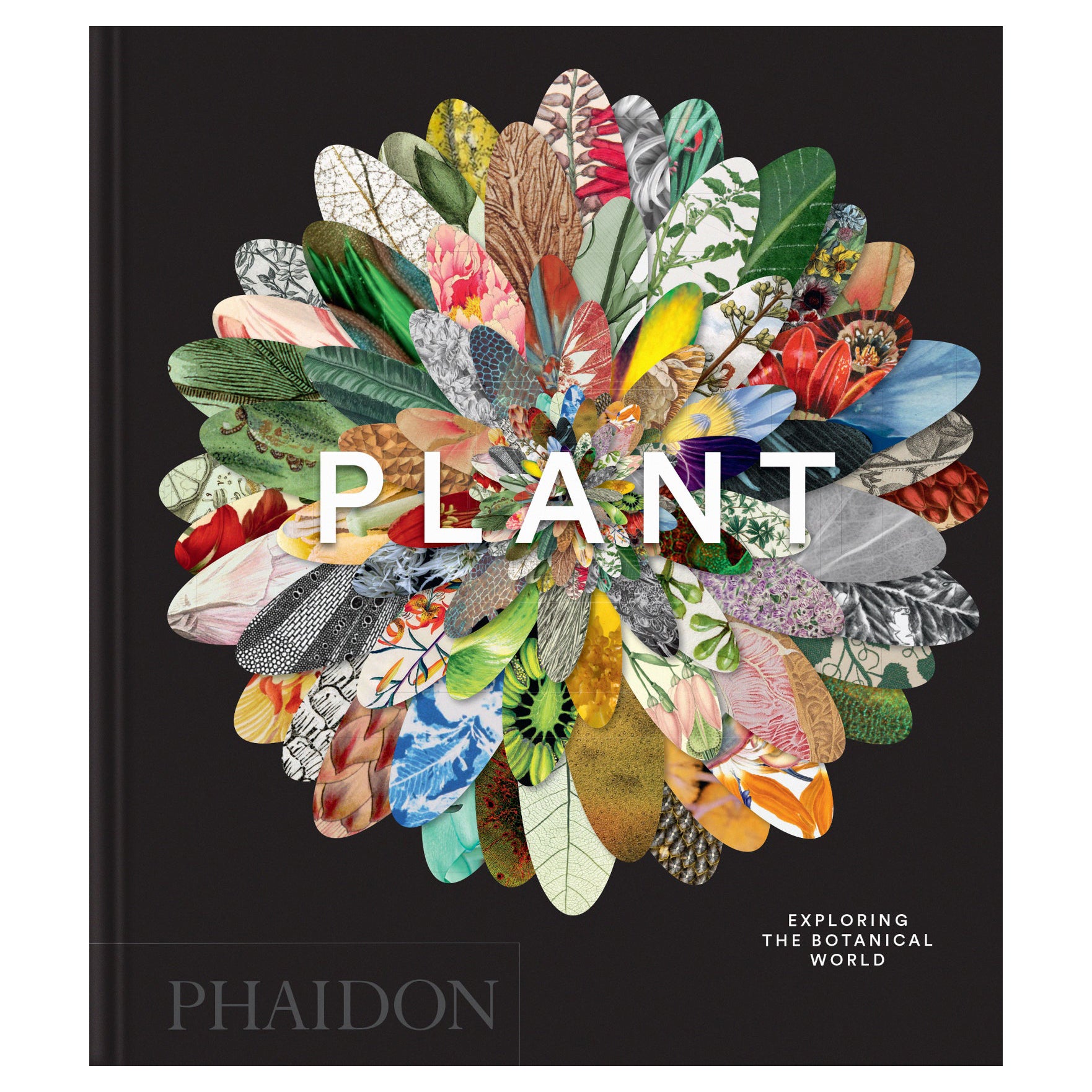 Plant: Exploring the Botanical World, Compact Format